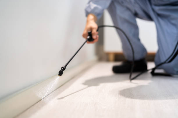 Licensed Termite Control service in Jackson County County, IL - Nex Pest Control