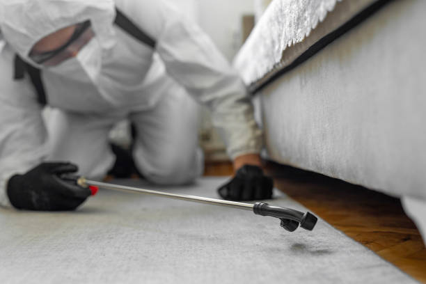 Professional Termite Control technician working in Jackson County County, IL